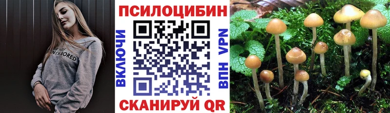 Галлюциногенные грибы Psilocybe  OMG рабочий сайт  Асино  купить закладку 